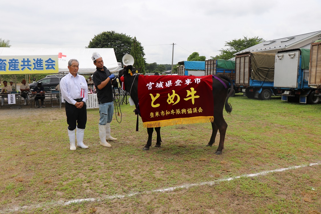 ２０２3年8月1週号｜NOSAI宮城