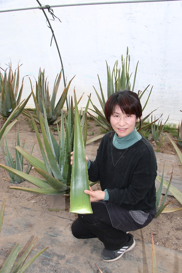 ２０２１年4月３週号｜NOSAI宮城